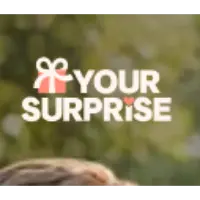 YourSurprise YourSurprise Promo Codes